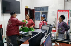 免费送种、上门指导、全程保障……春耕“三件套”安排上了