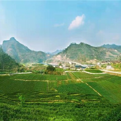 守好生态底色 书写绿色发展答卷——绿水青山变金山银山的古丈路径