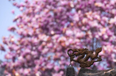  2026“我的寒假”主题征文投稿：寒假里的一束暖光