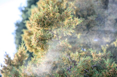 李现晒图直呼快折磨死我了！有人中招 医生提醒：千万别硬扛