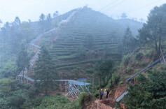 Tea-Tourism Integration Project Promoted in Guidong County