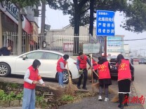 清洁家园共担当 楚家湖社区党总支联合共建单位开展志愿服务行动