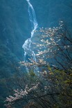 湖南真美 · 一周精选 ② | 沉醉此刻烟雨三湘的诗意浪漫