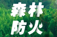 省青羊湖国有林场开展森林火情热点快速核查处置“131”机制专题培训