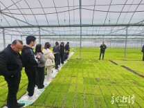 长株潭90名植保专技人员田间“取经”