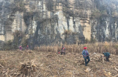 秸秆变宝，这个路子要得！