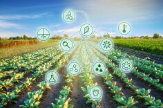 农业AI亟待跨越“最后一公里”