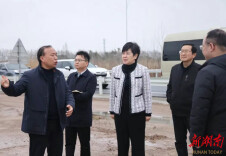 雷欣调研挂口片区城乡融合发展项目建设工作