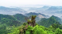 清明期间文明祭祀 严防森林火灾倡议书