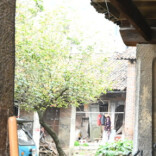 桃花流水|写给春天的诗行