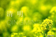 天堂家书（6）｜何美琪：怀念母亲