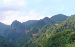 盗采、贩卖！境外黑手伸向生态领域 国家安全机关通报