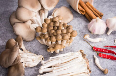 周末·健康丨为什么你总发胖还记忆力不好？原来是缺了这种维生素！