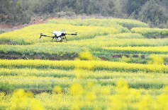 Agricultural Drones Help Boost Farmers' Income