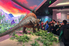 沉浸式解码地质奥秘  1200余名师生走进张家界世界地质公园博物馆 