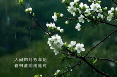 天堂家书（7）｜朱建海：怀念父亲