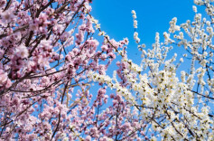 “孩子们需要春天，大人也一样”！江苏昆山一公司放三天带薪春假引热议→