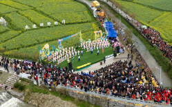 万亩花海唱春光，2026年全国“四季村歌”首秀在会同启幕