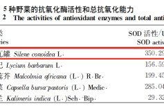 春天必吃的野菜！高钙、富含维 C 和抗氧化成分，可惜很多人没听说过