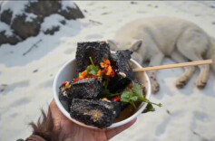 一碗臭豆腐馋翻狐仙