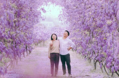 出门找春天！最近流行的Color Walk，长沙申请出战！