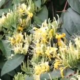 怀化：两镇入选2025年度省级农业产业强镇