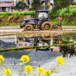 中方县：稻田耕作农事忙