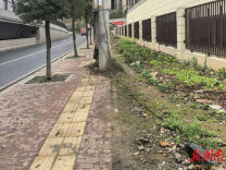 长沙阳河社区：党建红引领雷锋情 闲置菜地“蝶变”绿洲
