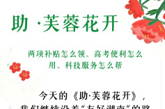 助·芙蓉花开 | 两项补贴怎么领、高考便利怎么用、科技服务怎么帮