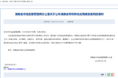 湘西州市场监督管理局指导一案例入选湖南省专利转化运用典型案例
