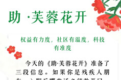 助·芙蓉花开 | 权益有力度，社区有温度，科技有准度