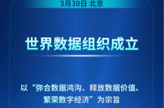 世界数据组织成立