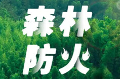 祁东县启动“森林防火宣传月”活动