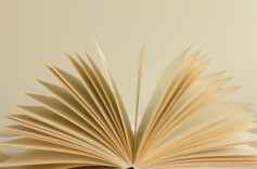 天堂家书（9）|一捧清明，半生思念