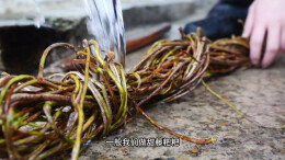 视频 | 靖州人的DNA动了，这口甜藤粑粑，甜进心里！