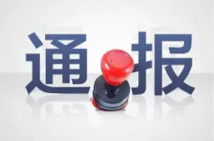 河南平顶山通报“女子去世后被结婚”