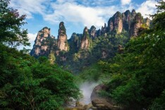 张家界武陵源五年攻坚，成功拔除松材线虫疫区！长效防控筑起“生态安全屏障”