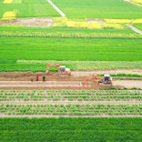 事关中小学春秋假、户口登记......湖南本周提醒来了！