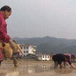 怀化：春种春管农事忙