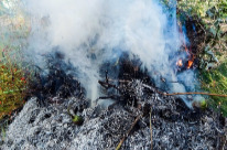 清明假期临近 这些区域森林草原火险等级升高