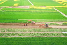 事关中小学春秋假、户口登记......湖南本周提醒来了！