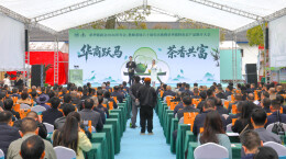 春茶飘香引客来 茶旅融合兴乡村 华容县章华镇以茶为媒铺就共富新路径