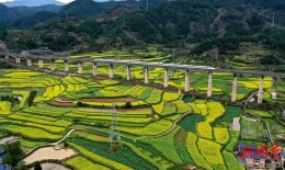 高铁、花海同框！沪昆高铁“穿”行中方油菜花海