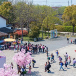 山东、湖南、贵州加入“春秋假”行列