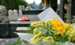 两部门发出倡议：低碳祭扫 倡树新风