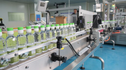 5秒冷水出茶！桑植白茶冷泡茶焕新上市，解锁茶饮新潮流