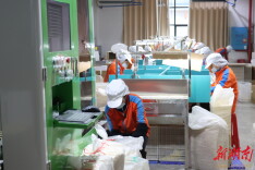 开局八好 乘势而上｜靖州“好环境”激发竹企活力