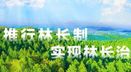 沅江市举办2026年上半年林长制工作业务培训