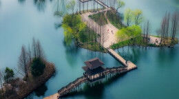 在春天的路口，打捞一场不期而遇