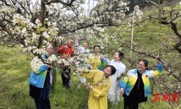 怀化太极选手齐聚靖州，赛前体验排牙山生态康养之旅